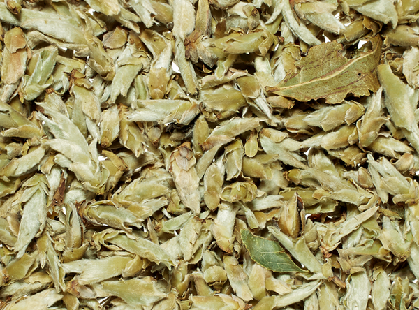 Weißer Tee China Yunnan Silver Bud Ya Bao Rarität