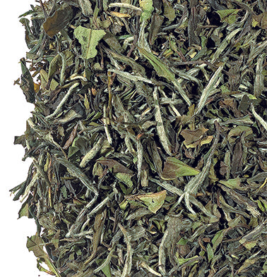 Weißer Tee China  Pai Mu Tan kontrollierter Anbau