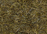 Fukujyu Sencha Grüner Tee Japan
